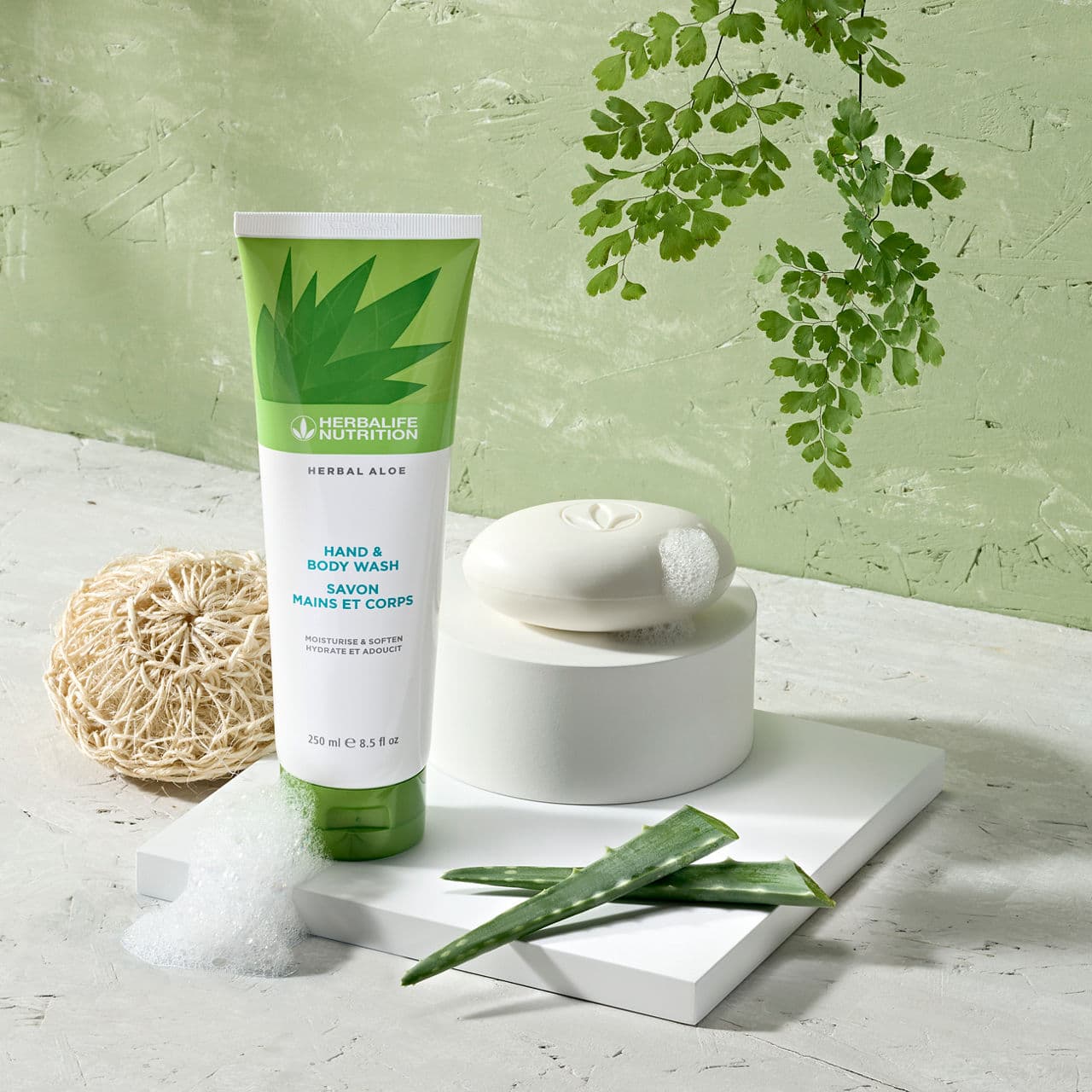 Immagine rappresentativa di Herbal Aloe Bagnoschiuma preparato